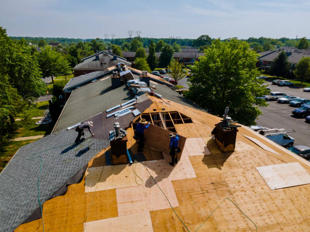 Best Emergency Roof Repair  in Reading, MI
