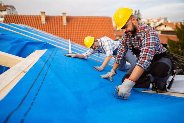 Best Roof Replacement Cost  in Reading, MI