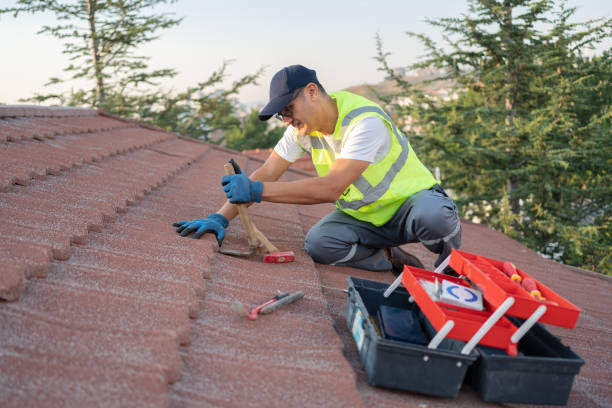 Sealant for Roof in Reading, MI
