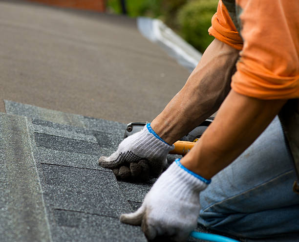Best Local Roofing Companies  in Reading, MI