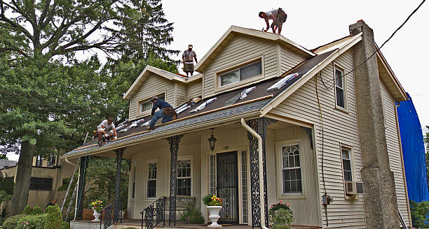 Best Flat Roof Repair Services  in Reading, MI