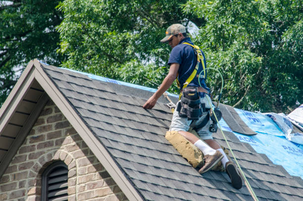 Best Roofing Contractor Near Me  in Reading, MI